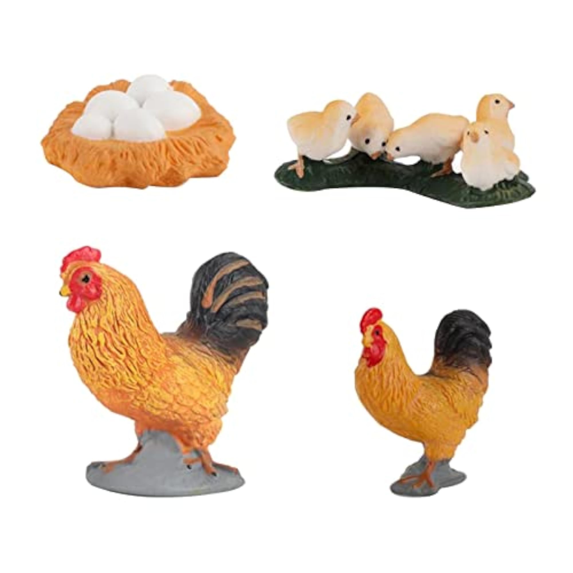 ABS Chicken Life Cycle Educational Learning Toy