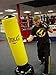 Physical Success Inflatable Punching Bag Workout for Beginners DVD ONLY No Punching Bag.