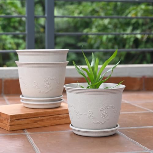 Eha Earth Friendly 8" Leafy Planter with Tray Made with Rice Husk, 3 Units