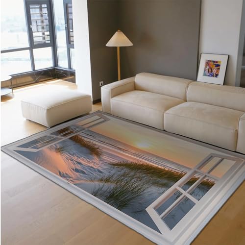 Tapis 140x200cm lavable en machine avec effet fenêtre 3D
