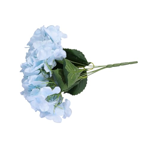 POPETPOP ԑ V~[VAWTC EFfBOt[fR[V f gpp[eB[  ItBX