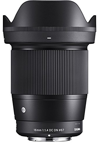 Sigma 14-24mm lens