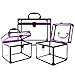 SHANY Clear Cosmetics and Toiletry Train Case - Clear Travel Makeup Bag Case Organizer with Secure Closure and Black/Purple Accents - 3PC Set