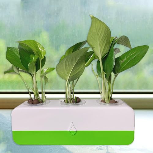 Bothyi Vaso de plantas hidropônico autoescorvante DIY Kit de hidroponia Decoração de bonsai de mesa