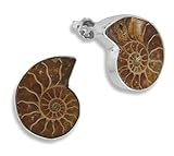 Ammonit (Fossil) ERCE Ammonit Fossilien Ohrstecker, 925 Silber