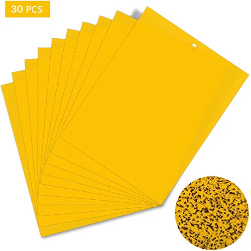 Preisvergleich Produktbild Funmo - 30 Stück Fliegenfänger Sticker, Gegen Schadinsekten, Insektenfänger, Fliegenfalle, Fliegenfalle mit Draht zum Aufhängen,Gelb