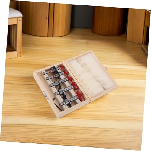 Set de 5 brocas para madera con punta de carburo miniatura 5