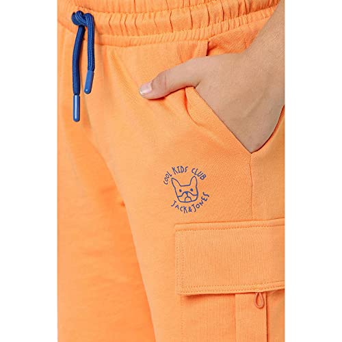 Image of JACK & JONES Boy's Board Regular Casual Shorts