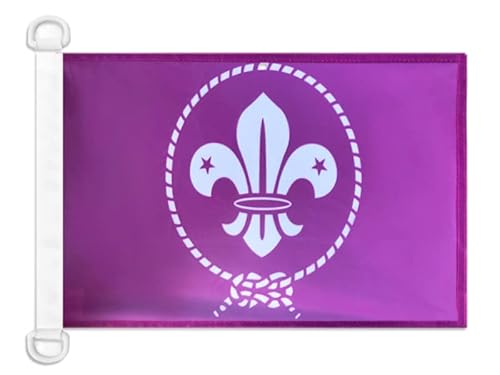 AZ FLAG - Drapeau Scouts Violet - 45x30 cm - Pavillon Nautique Du Scoutisme Spécial Bateau Et Extérieur En Maille Bloquée Avec Anneaux Plastiques Intégrés - 30g