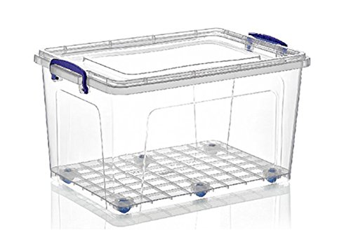 Superio Storage Container, 44 Qt, Clear with Blue Handles