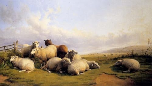 Tableau Moutons paysage Sidney impression d'art sur toile premium 60x90cm