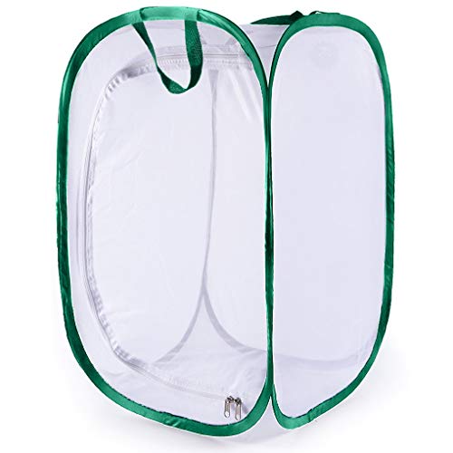 Sungrow Foldable Butterfly Habitat, 24" Butterfly Cage For Caterpillars, Create Butterfly Farm, Enclosure For Breeding Soldier Fly, Ladybug, Dragonfly, Or Housefly For Chicken And Reptile Feed, Green #TOP1