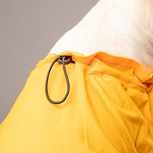 Image of HUFT Best Dog Ever T-Shirt for Dog - Yellow - S