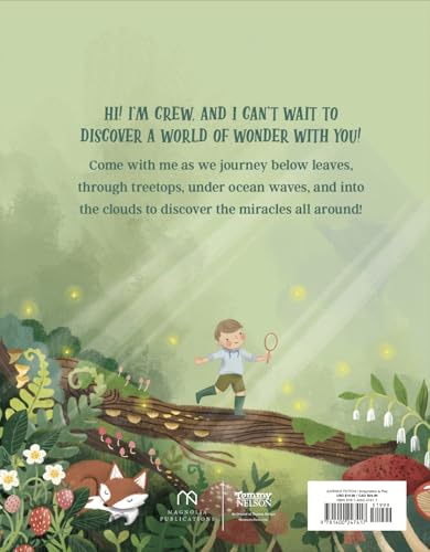 The World Needs the Wonder You See - Image 2