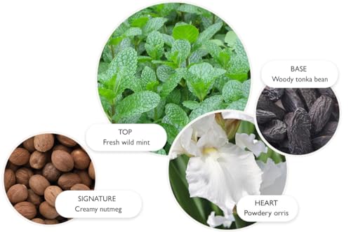 Molton Brown Wild Mint & Lavandin Edt Eau De Toilette Unisex 100 Ml - 4