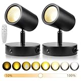 Junview LED Spot Lights 10W Up Lights Indoor With Timer and Remote 2700K-6500K Stepless Adjustable Uplighting Spotlight 120V Dimmable Floor Light for Plant and Artwork (2 Pack)