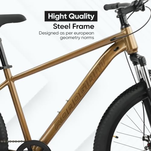 Image of ROADGIANT Squad 24T| MTB | Steel Bicycle | Dual Disc Brakes | Single Speed | Front Suspension | Unisex| for All-Terrain Bike for Ages 13+ Years (Brown)