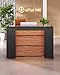 LITTLE TREE 63 Inches Reception Desk, Modern Reception Table with LED Light, Front Counter Desk, Wooden Checkout Counter for Lobbies, Salons, Retail, Home Offices, Reception Room, Black & Brown