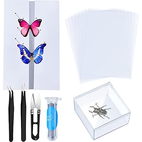 Taiyin Insect Specimen Tools Kit Cover