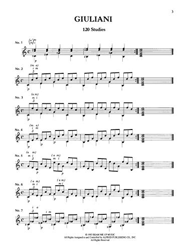 120 Studies for Right Hand Development (Classical Guitar Study Series) - Image 3