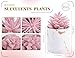 Der Rose 4 Packs Fake Succulents Plants Artificial Indoor for Pink Room Bathroom Decor Office Desk Accessories for Women