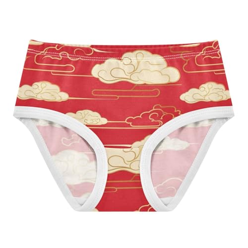 Girls' Sport Panties Comfort Underwear for Toddlers Red Cloud Pattern Backdrop