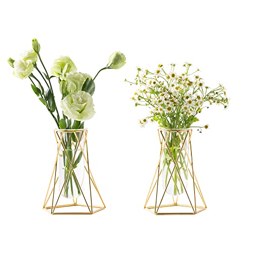 Grensuk 2 Pcs Gold Geometric Vase,Air Plant Stand,Hydroponic Plant Flower Vase Glass Test Tube,Modern Vases For Flowers As Wedding Home Office Centerpiece,Vases For Centerpieces(2Pc,6.3Inch) #TOP14