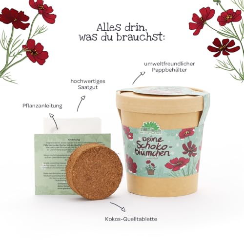 Anzuchtset für Schokoblumen von \Die Stadtgärtner\ | Schokoladenblume Starter-Set inkl. Pflanzbecher, Saatgut und Kokoserde | Tolle Geschenk-idee für Schokoladenliebhaber, Garten-Freunde & Kinder