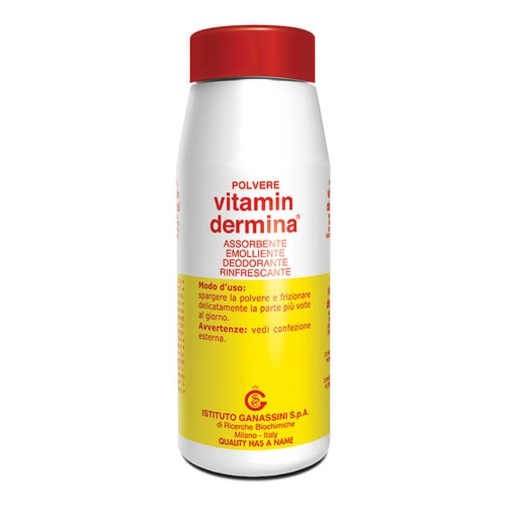Ist.Ganassini Spa-Vitamindermina Polvere 100 G