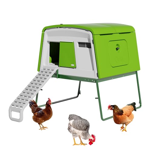 Image of Omlet Eglu Cube Large Chicken Coop | Easy to Clean Plastic Chicken Tractor | The Most Secure Hen House for Complete Peace of Mind | Weatherproof Cool in Summer and Warm in Winter | Green