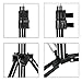 FUDESY 7Feet/210CM/83Inch Photography Adjustable Light Stands,Photo Video Studio Lightweight Tripods Hold Up Cameras,Softboxes,Relfectors,Ring Lights,Speed Lights