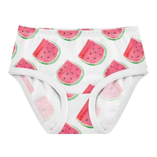 Watercolor Watermelon Toddler Girls's Underwear 2T 202c1864