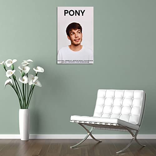 Poster Rex Orange County PONY Toile Décoration Salon 50x75 cm