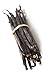 Madagascar Vanilla Beans Whole Grade A Vanilla 8 oz (15-17 cm length)
