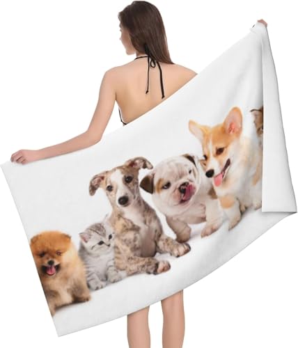 ȃoX^InXL[  L _炩G蒴ב@ۂ̉ƒpz RۖhL 炩oX^I ƒ AEghAׂ͂ēKp܂