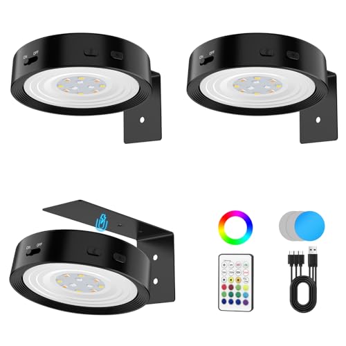 DGFINE Picture Lights for Wall Rechargeable Battery Magnetic Wall Lights with 3 Color Temps and 12 RGB Picture Light with Remote Dimmable and Timer Decor Light for Painting/Frame/Art Display
