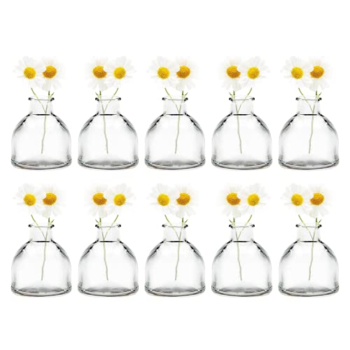 CHIVE ‘Loft’ Glass Bud Vases for Flowers — Set of 10 Clear Round Bottles — Super Cute Wedding Decor Centerpieces — Premium Quality & Made to Last