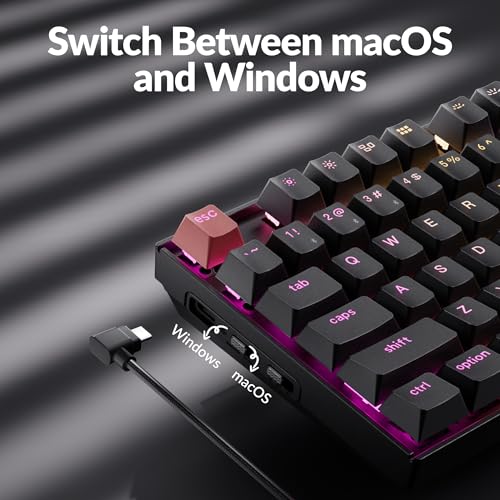 Image of Keychron K8 Version 2 TKL Wireless Mechanical Keyboard, QMK /Launcher Bluetooth 5.2 /Wired, RGB Backlit Shine-Through PBT Keycaps, Super Brown Switch for Mac Windows Linux (Hot-swappable)