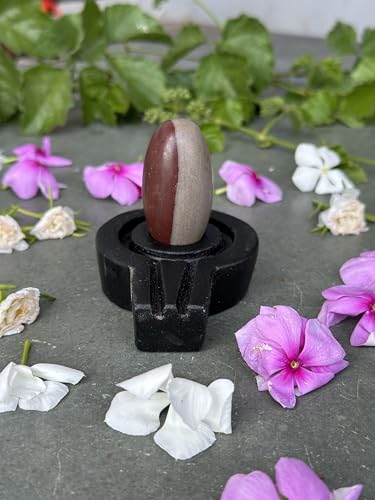 Image of Shivam VASTU AKAL 1.5 inch Original Narmadeshwar Narmada Shivling with 3 inch Narmada Stone Yoni Base Jaladhari (Ardhanarishwar Shivling, Black Flate Jaladhari)