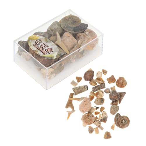 ULTECHNOVO Unique Natural Ore Specimens Collection Box of Genuine Stones for Boys and Girls School Education Home Decor and Craft Making