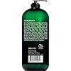 BOTANIC-HEARTH-Tea-Tree-Body-Wash-Helps-with-Nails-Athletes-Foot-Ringworms-Jock-Itch-Acne-Eczema-Body-Odor-Soothes-Itching-Promotes-Healthy-Skin-and-Feet-Naturally-Scented-16-fl-oz Botanic Hearth Tea Tree Body Wash, Helps with Nails, Athletes Foot, Ringworms, Jock Itch, Acne, Eczema & Odor, Soothes Itching Promotes Healthy Skin and Feet, Naturally Scented, 16 fl oz