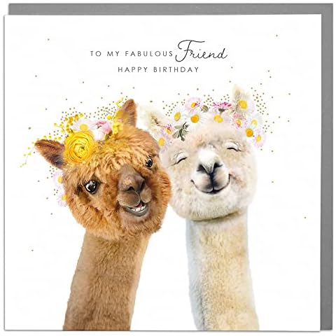 Lola Design - Birthday Cards for Women - Blank Cards and Envelopes - Fab Friend Card - Happy Birthday Card Cover