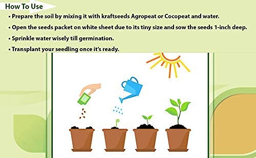 FLARE SEEDS Combo Of 25 Varieties of Flower Seeds For Your Garden Beautiful Bloom Germination Seeds 2