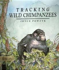 Hardcover Tracking Wild Chimpanzees in Kibira National Park Book