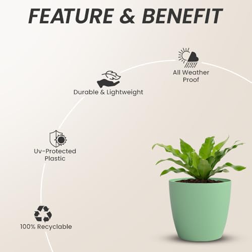 Image of YUCCABE ITALIA SHERA Stella 5 Inch Plastic Plant Pot for Home Decor Indoor Plant Pots for Living Room Plastic Flower Pot for Garden (Aqua, 5 INCH - 6 Pcs)