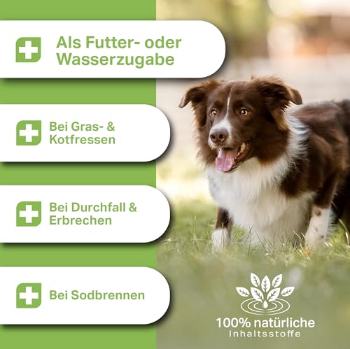 MEDIDOG Moor Tonikum – 250 ml – für Hunde – unterstützt Magen & Darm, bindet Schadstoffe, mit Huminstoff