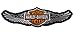 GZM Parche Replica Harley Davidson Alado 25 x 8 cm con Termo Adhesivo para Chaquetas Chalecos Biker
