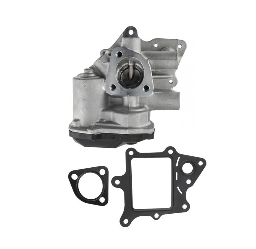Valvola EGR Ricircolo Gas di Scarico 2.3 D 3.0 D per Jumper II Ducato III Boxer Reambio OEM 71795127 504373660 71795169 71795170 162645 V24630030 717730165