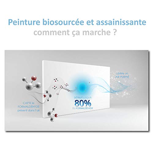Peinture biosourcée colibri velours blanc 3 litres anti pollution intérieure - 6