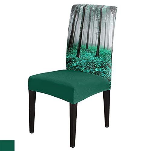 Fall Thanksgiving Chair Covers Autumn Maple Forest Dining Chair Slipcovers Teal Green Seat Protector Stretch Removable Party Decoration Set Of 4 #TOP6